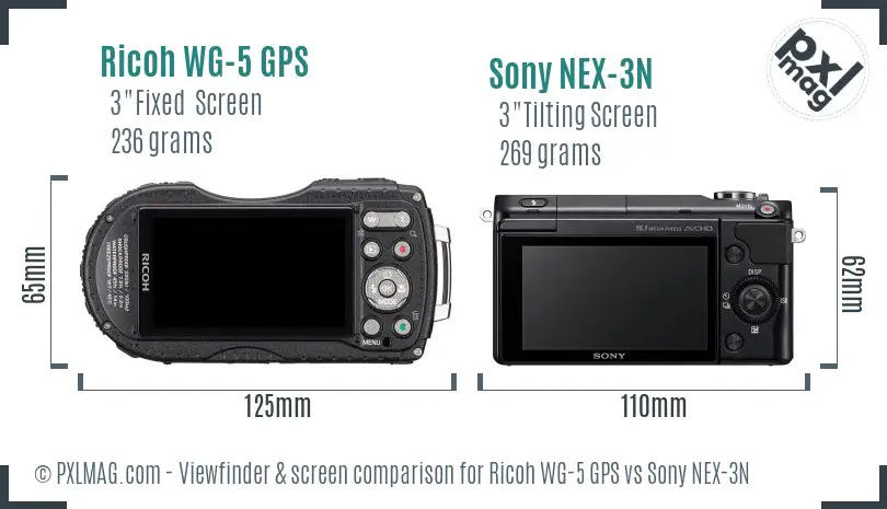 Ricoh WG-5 GPS vs Sony NEX-3N Screen and Viewfinder comparison