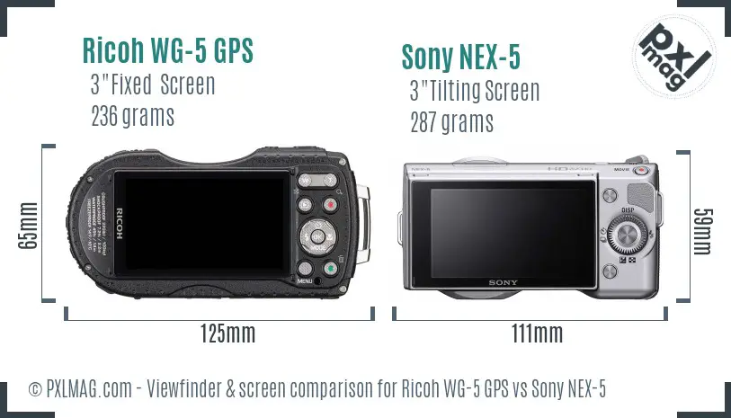 Ricoh WG-5 GPS vs Sony NEX-5 Screen and Viewfinder comparison