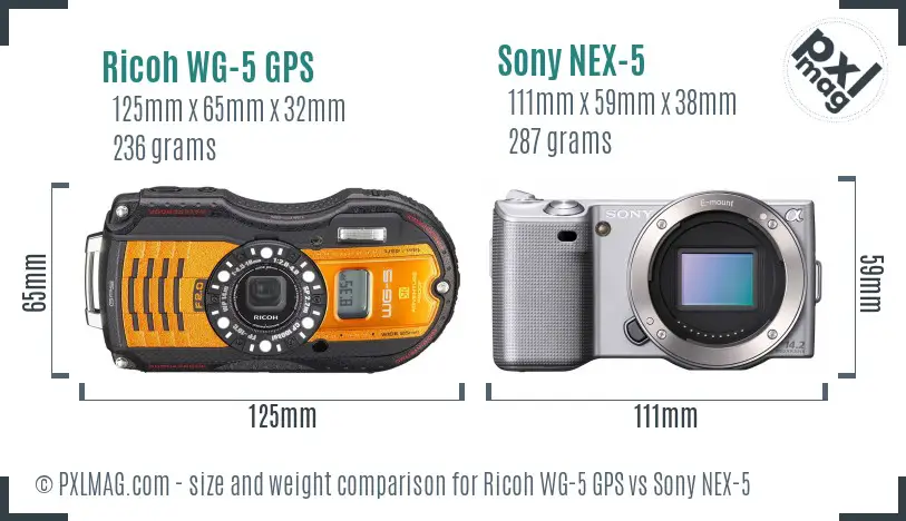 Ricoh WG-5 GPS vs Sony NEX-5 size comparison