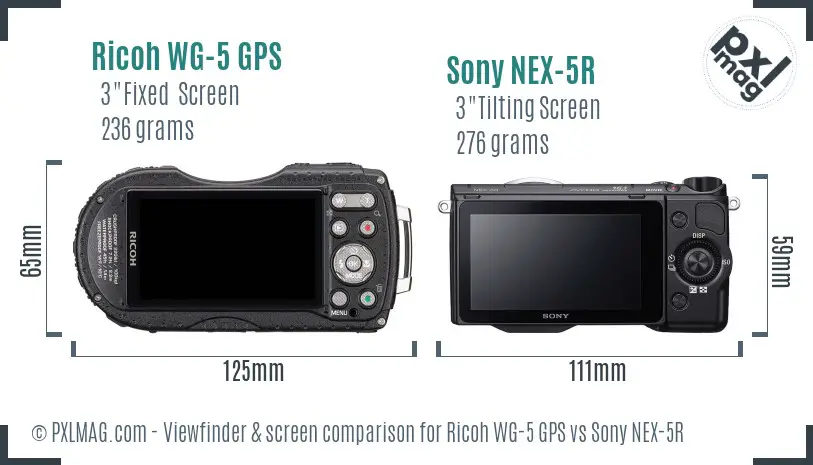 Ricoh WG-5 GPS vs Sony NEX-5R Screen and Viewfinder comparison