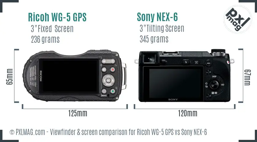 Ricoh WG-5 GPS vs Sony NEX-6 Screen and Viewfinder comparison