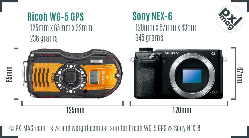 Ricoh WG-5 GPS vs Sony NEX-6 size comparison