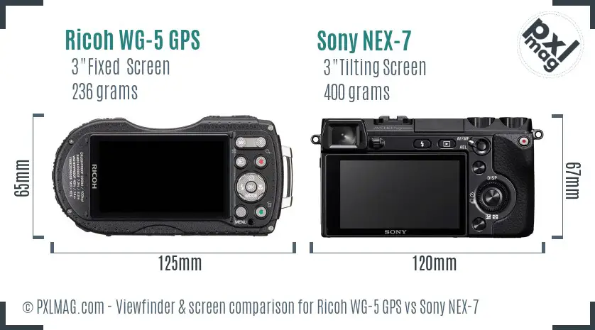 Ricoh WG-5 GPS vs Sony NEX-7 Screen and Viewfinder comparison