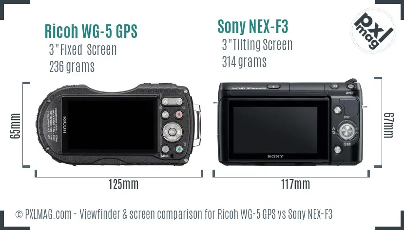 Ricoh WG-5 GPS vs Sony NEX-F3 Screen and Viewfinder comparison