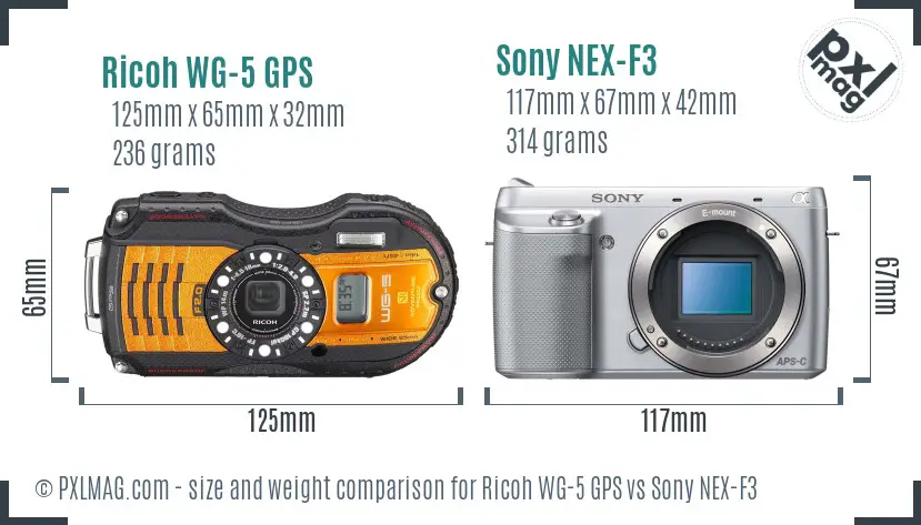 Ricoh WG-5 GPS vs Sony NEX-F3 size comparison