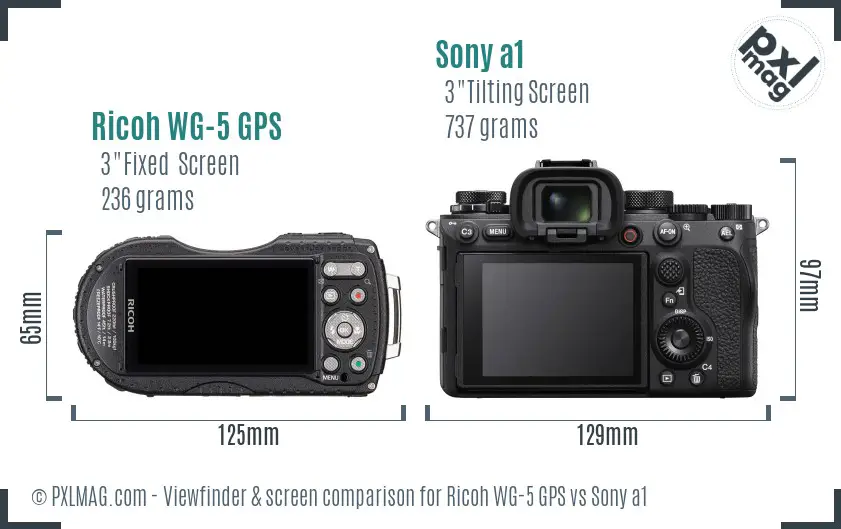 Ricoh WG-5 GPS vs Sony a1 Screen and Viewfinder comparison