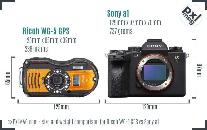 Ricoh WG-5 GPS vs Sony a1 size comparison