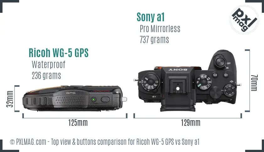 Ricoh WG-5 GPS vs Sony a1 top view buttons comparison