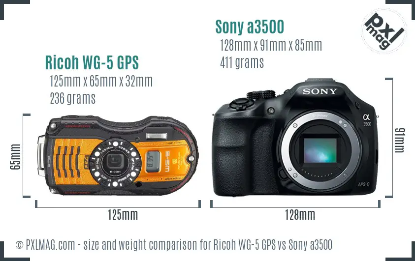 Ricoh WG-5 GPS vs Sony a3500 size comparison