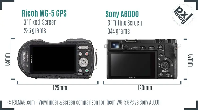Ricoh WG-5 GPS vs Sony A6000 Screen and Viewfinder comparison