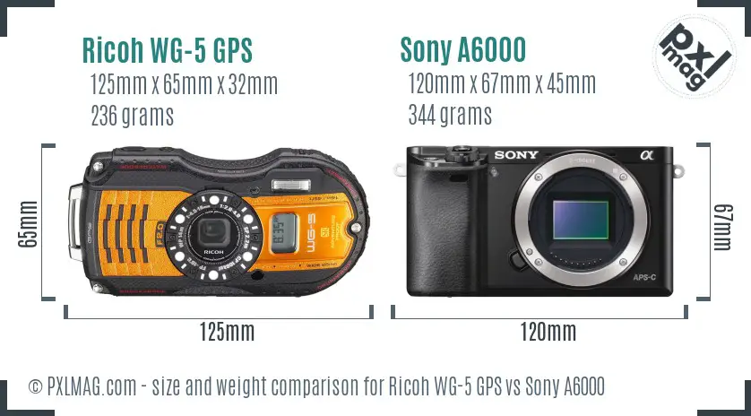 Ricoh WG-5 GPS vs Sony A6000 size comparison