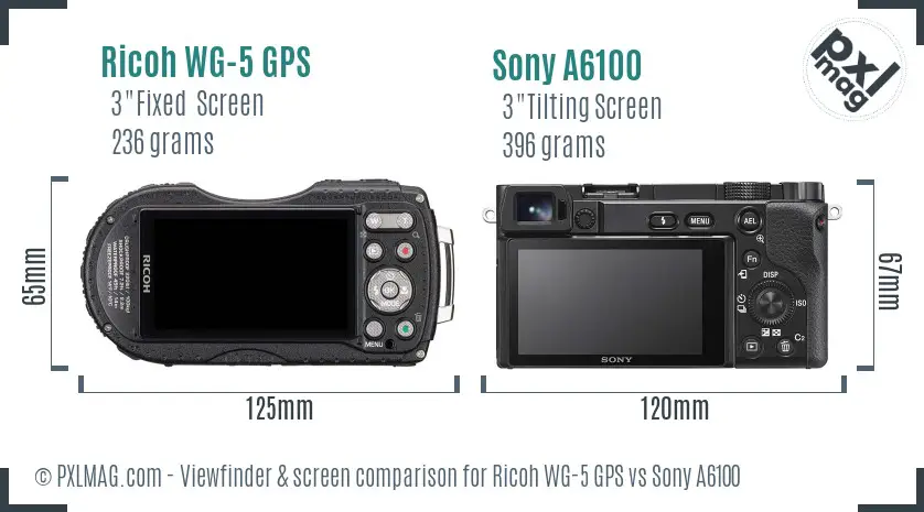 Ricoh WG-5 GPS vs Sony A6100 Screen and Viewfinder comparison