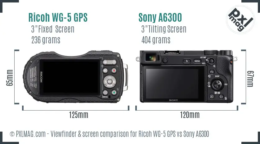 Ricoh WG-5 GPS vs Sony A6300 Screen and Viewfinder comparison