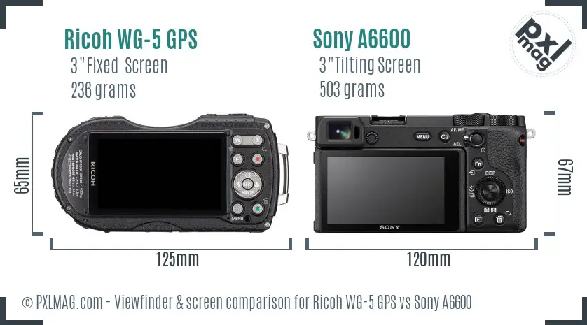 Ricoh WG-5 GPS vs Sony A6600 Screen and Viewfinder comparison