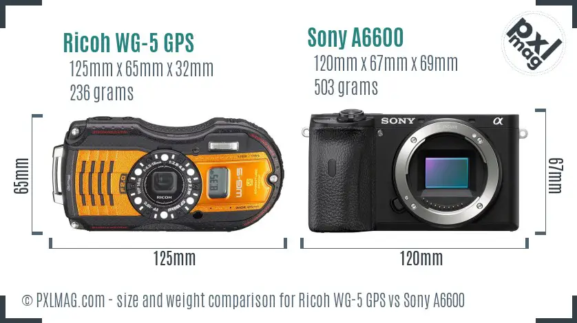 Ricoh WG-5 GPS vs Sony A6600 size comparison