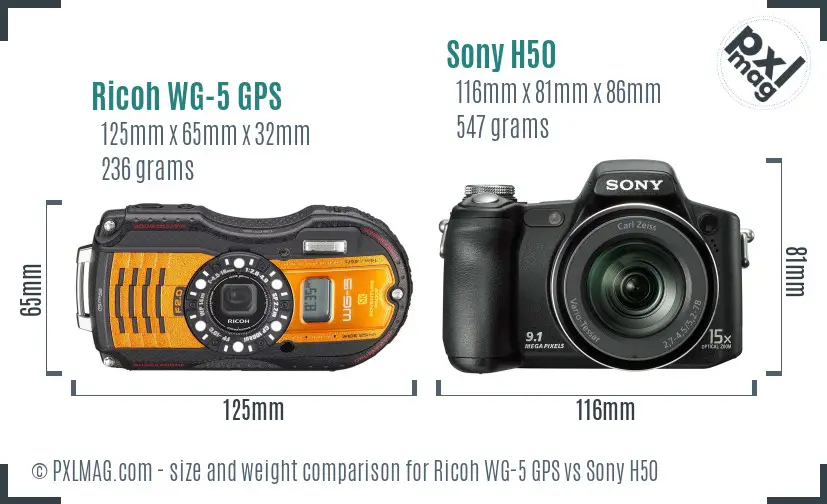 Ricoh WG-5 GPS vs Sony H50 size comparison