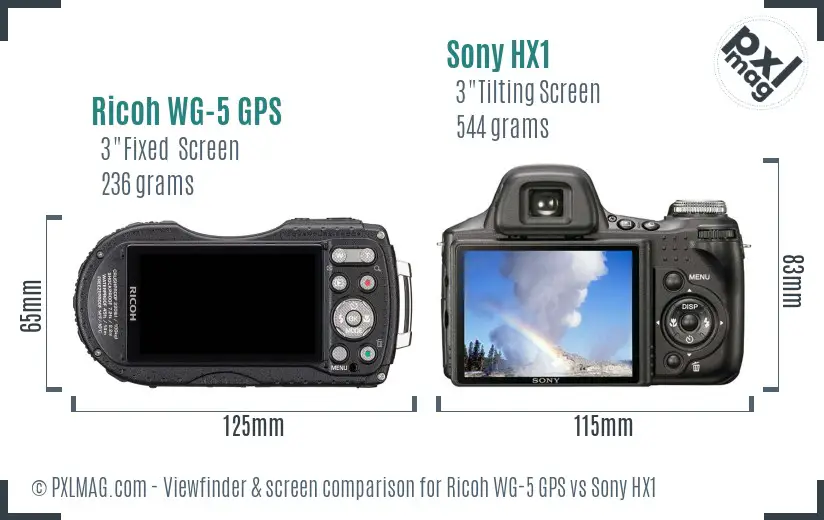 Ricoh WG-5 GPS vs Sony HX1 Screen and Viewfinder comparison