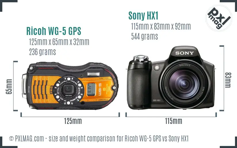 Ricoh WG-5 GPS vs Sony HX1 size comparison