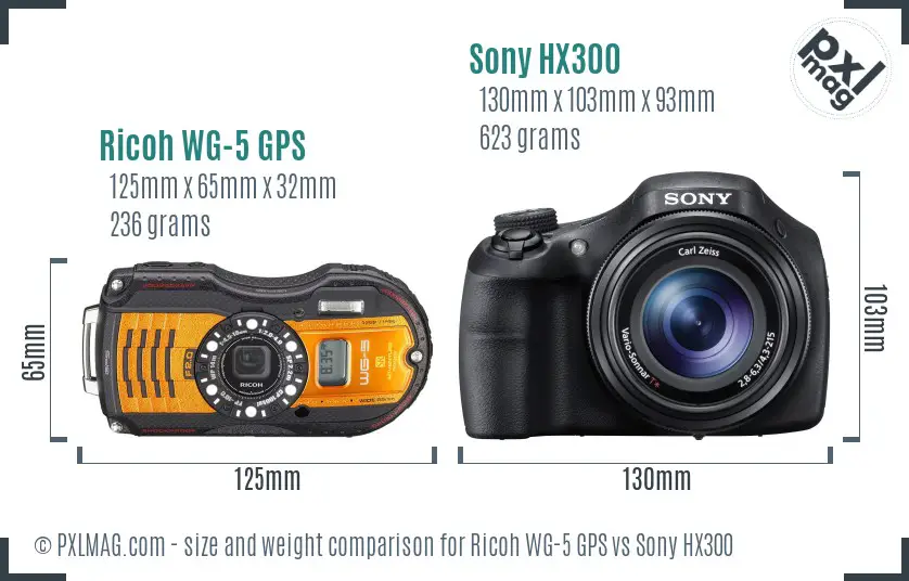 Ricoh WG-5 GPS vs Sony HX300 size comparison