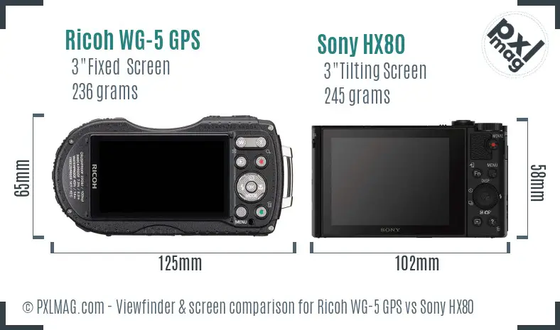Ricoh WG-5 GPS vs Sony HX80 Screen and Viewfinder comparison