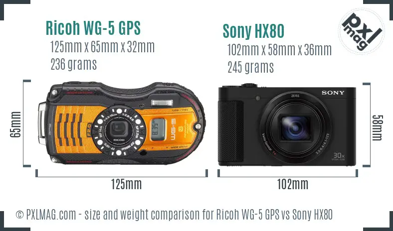 Ricoh WG-5 GPS vs Sony HX80 size comparison