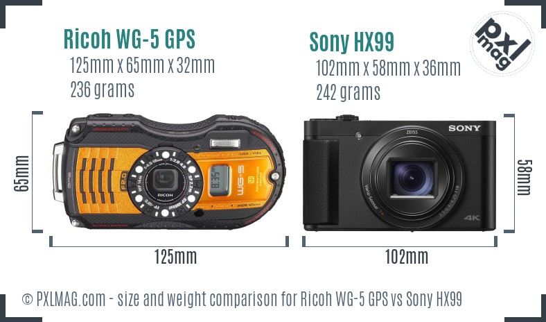 Ricoh WG-5 GPS vs Sony HX99 size comparison