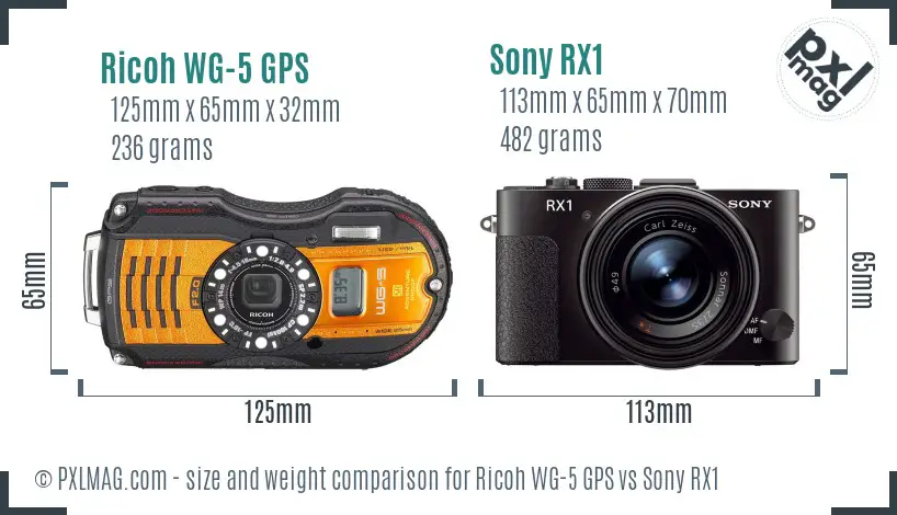 Ricoh WG-5 GPS vs Sony RX1 size comparison Ricoh WG-5 GPS vs Sony RX1 size comparison