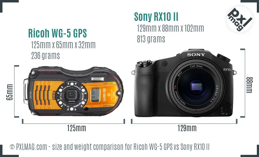 Ricoh WG-5 GPS vs Sony RX10 II size comparison Ricoh WG-5 GPS vs Sony RX10 II size comparison