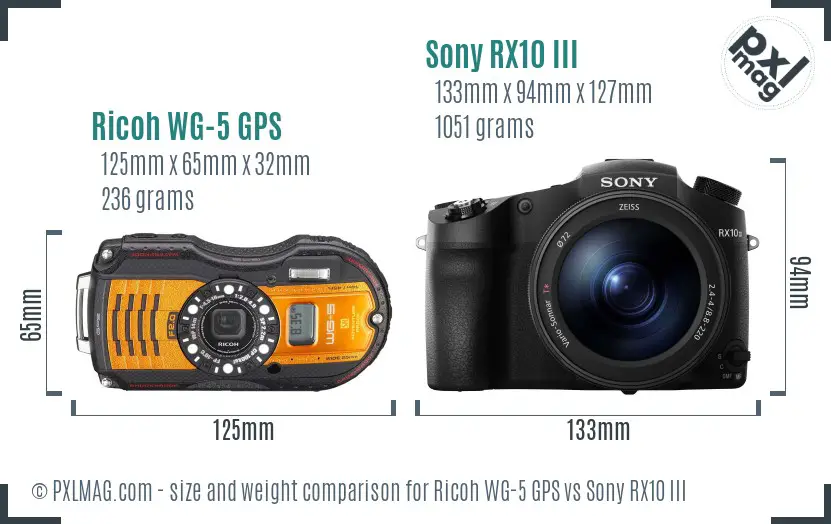 Ricoh WG-5 GPS vs Sony RX10 III size comparison