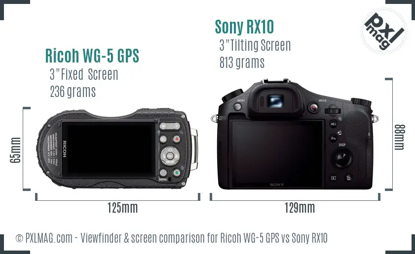 Ricoh WG-5 GPS vs Sony RX10 Screen and Viewfinder comparison