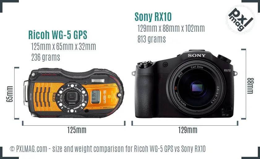 Ricoh WG-5 GPS vs Sony RX10 size comparison Ricoh WG-5 GPS vs Sony RX10 size comparison