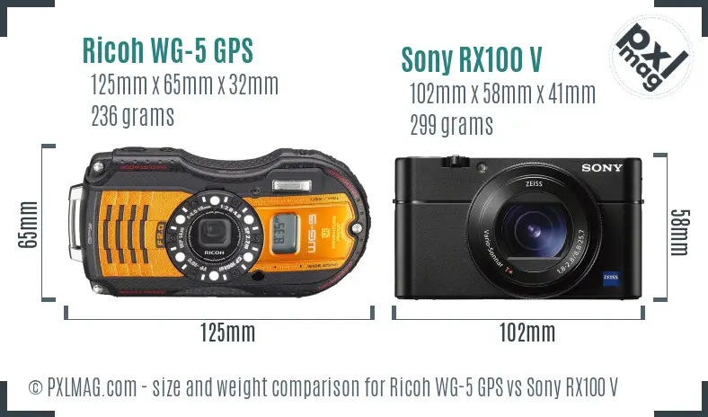 Ricoh WG-5 GPS vs Sony RX100 V size comparison