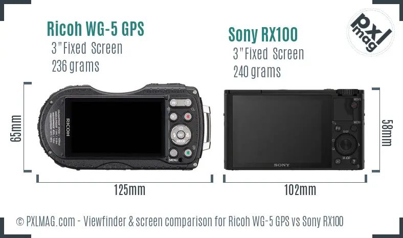 Ricoh WG-5 GPS vs Sony RX100 Screen and Viewfinder comparison