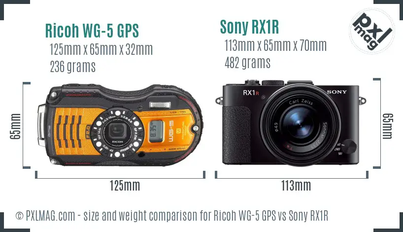 Ricoh WG-5 GPS vs Sony RX1R size comparison