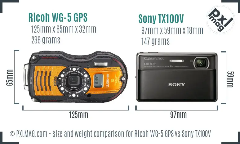 Ricoh WG-5 GPS vs Sony TX100V size comparison