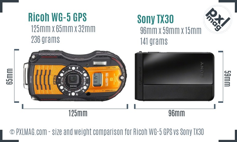 Ricoh WG-5 GPS vs Sony TX30 size comparison