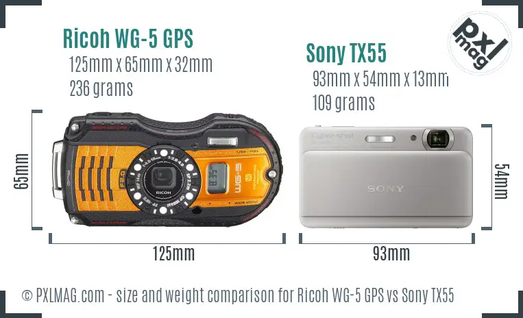 Ricoh WG-5 GPS vs Sony TX55 size comparison