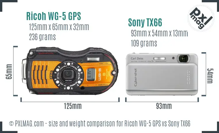 Ricoh WG-5 GPS vs Sony TX66 size comparison