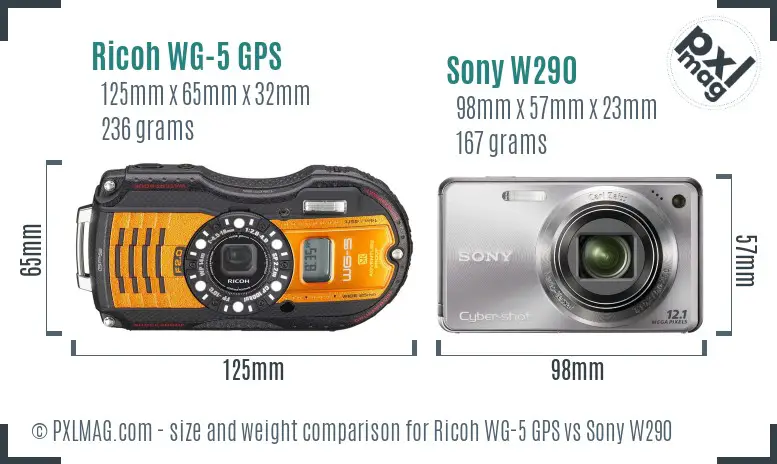 Ricoh WG-5 GPS vs Sony W290 size comparison