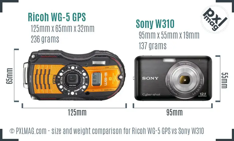 Ricoh WG-5 GPS vs Sony W310 size comparison
