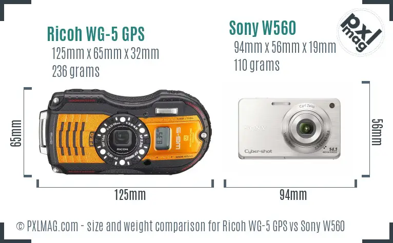 Ricoh WG-5 GPS vs Sony W560 size comparison