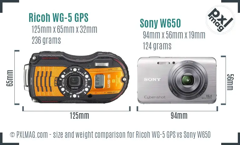 Ricoh WG-5 GPS vs Sony W650 size comparison