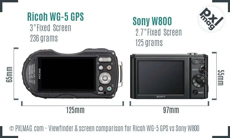Ricoh WG-5 GPS vs Sony W800 Screen and Viewfinder comparison