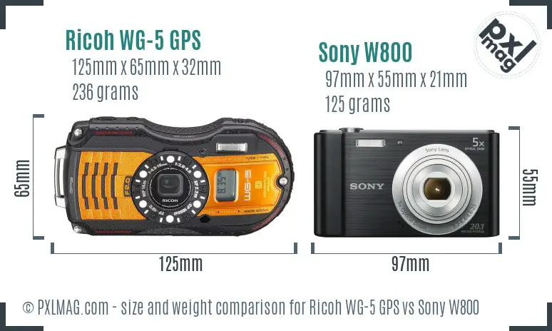 Ricoh WG-5 GPS vs Sony W800 size comparison