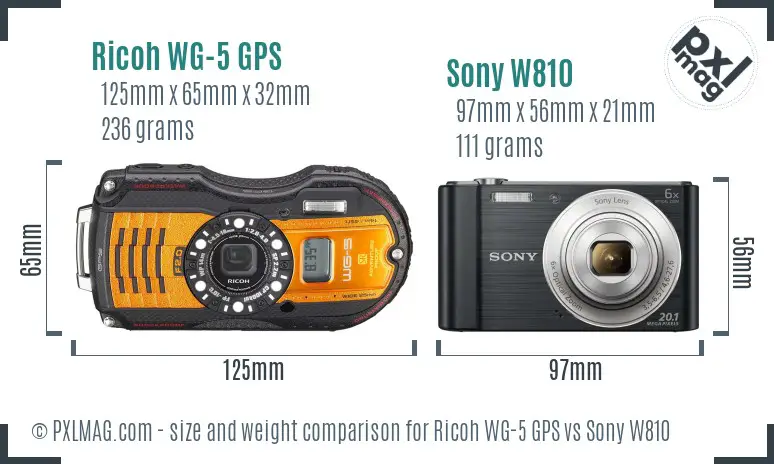 Ricoh WG-5 GPS vs Sony W810 size comparison