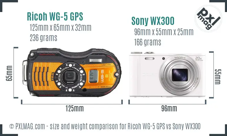 Ricoh WG-5 GPS vs Sony WX300 size comparison