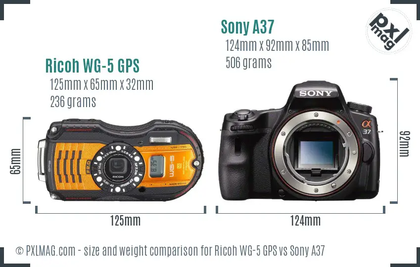 Ricoh WG-5 GPS vs Sony A37 size comparison