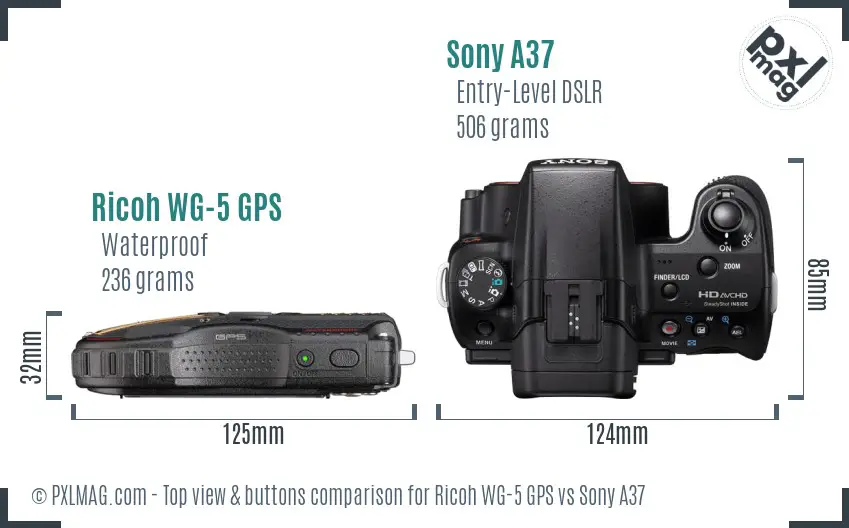 Ricoh WG-5 GPS vs Sony A37 top view buttons comparison