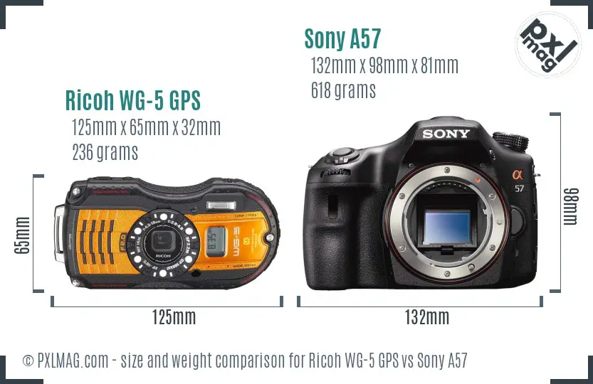 Ricoh WG-5 GPS vs Sony A57 size comparison