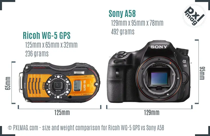 Ricoh WG-5 GPS vs Sony A58 size comparison